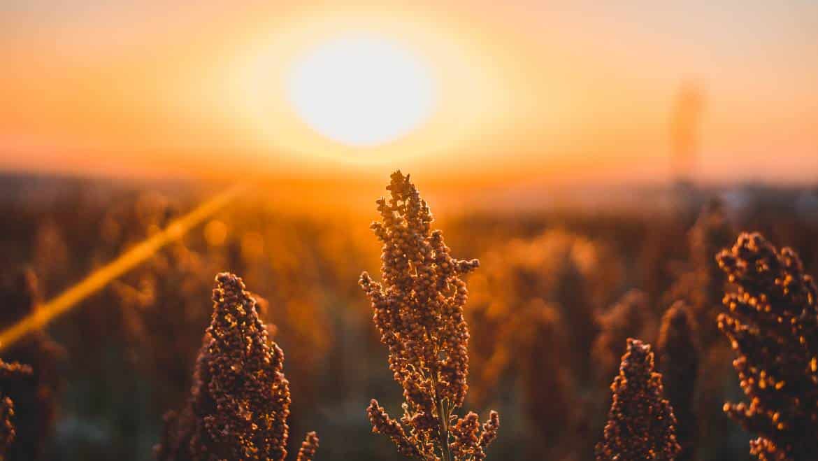 El otoño llegará en el mes de septiembre