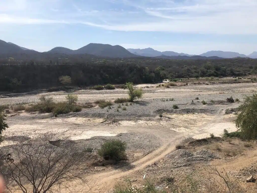 Las precipitaciones son insuficientes para mitigar la sequía y sacar adelante la actividad agrícola en el municipio de Choix.