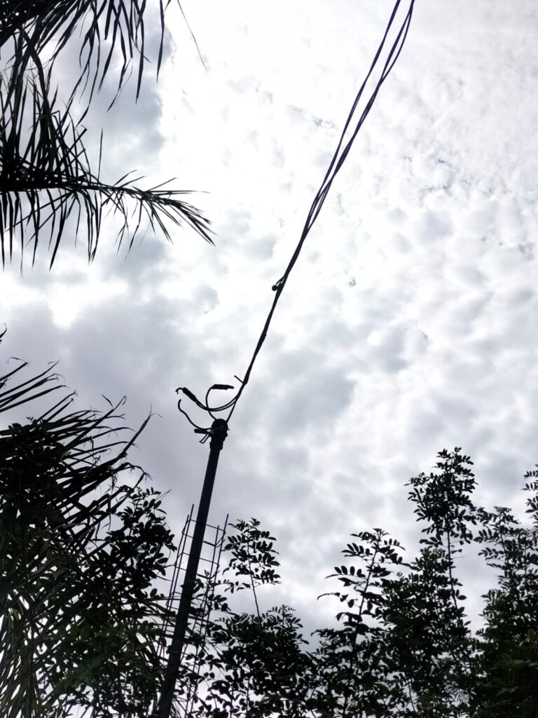 Cables y tubo de la mufa por donde pasa la electricidad, nubes y palmeras