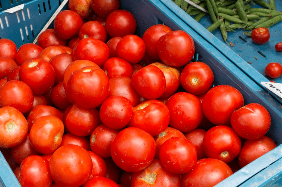 Tomates en una canasta