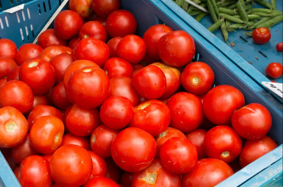 Tomates en una canasta