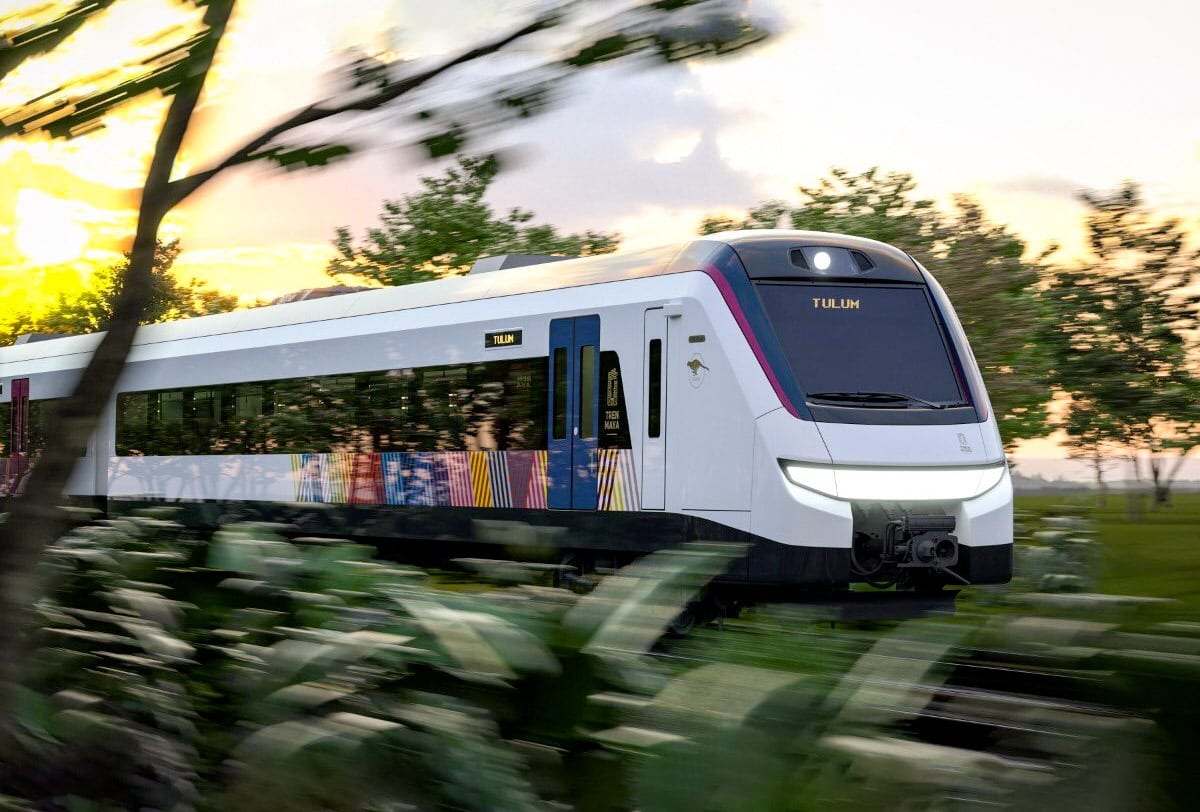 Tren Maya hectáreas