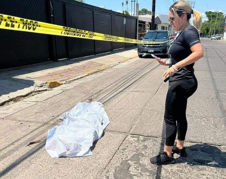 Muerte de Pegazus, perrito asesinado en Culiacán