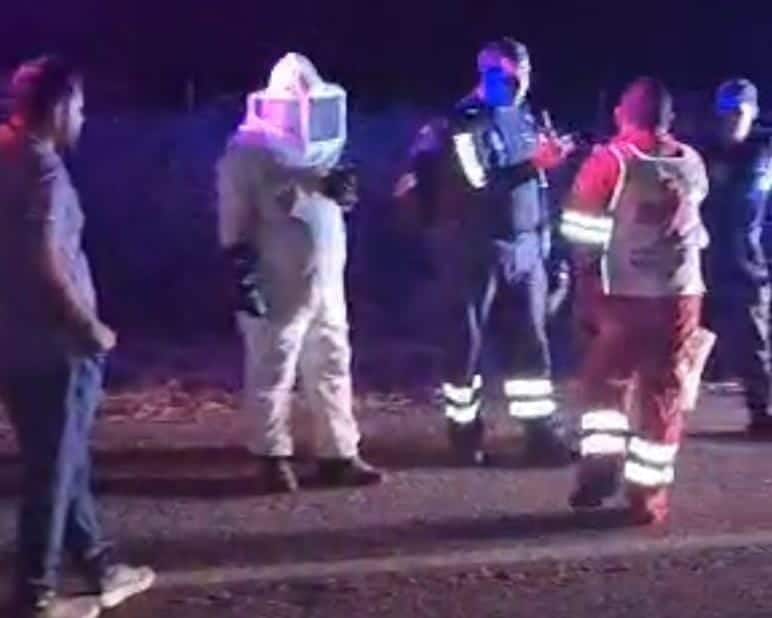 Ataque de abejas en Culiacán