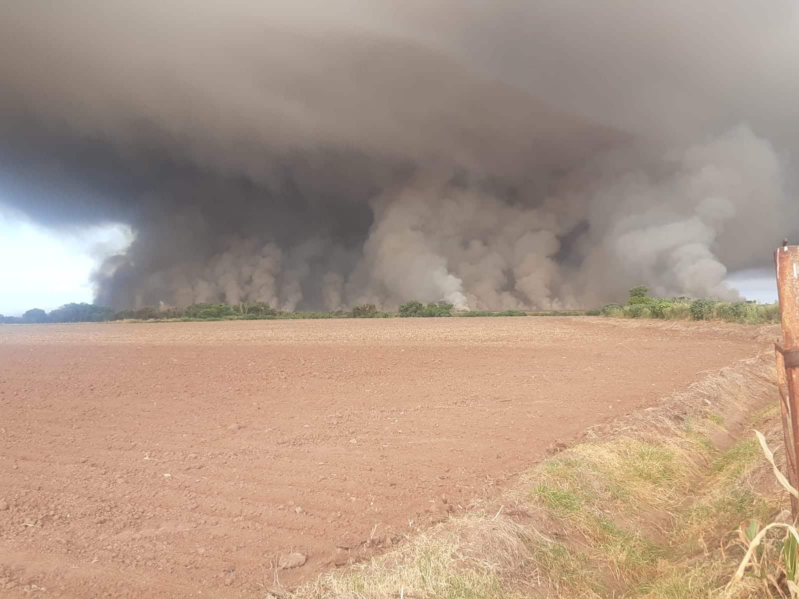 Así se observa el incendio de predio agrícola en Navolato. Sabás Espinoza.