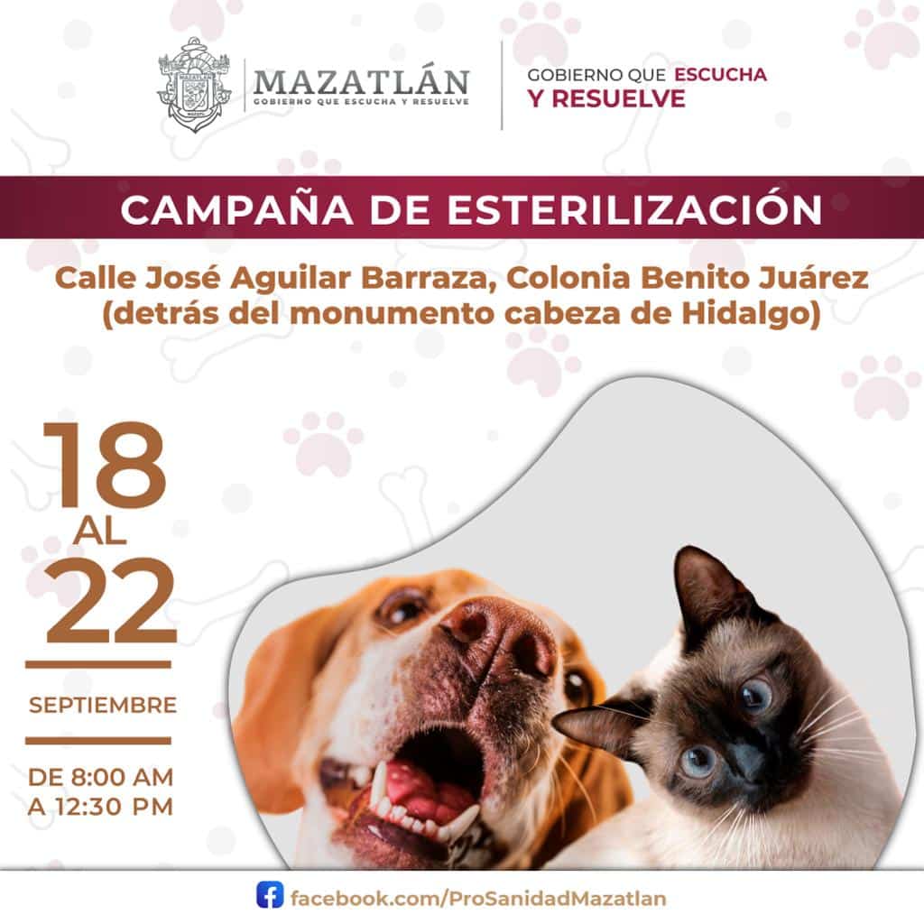 Campaña de esterilización