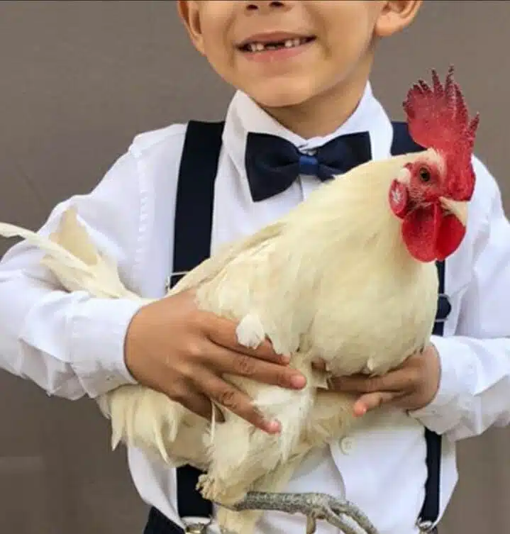 El pequeño con su gallo Blu