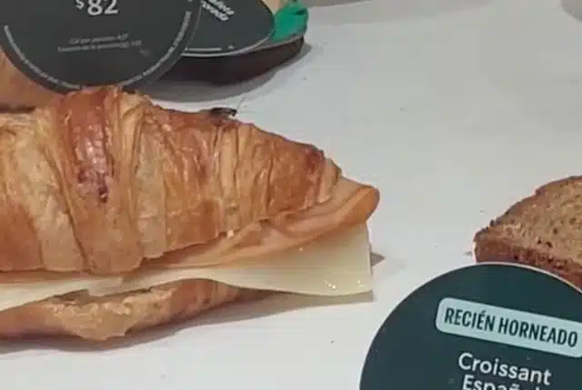La cucaracha en un pan de Starbucks