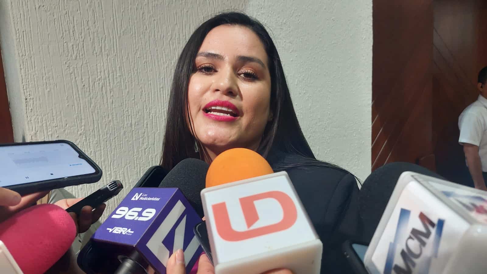 Diputada Viridiana Camacho Millán