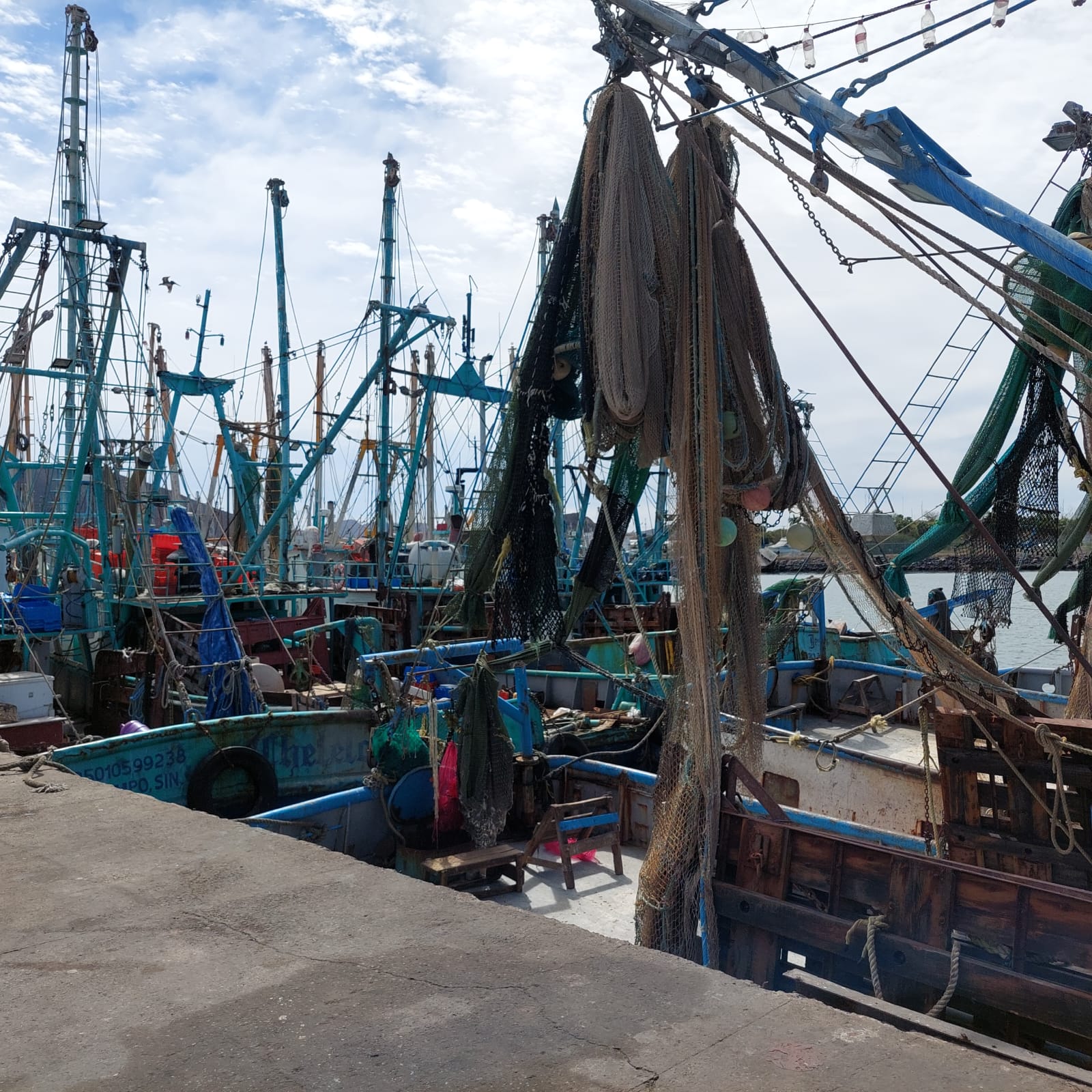 Barcos camaronero