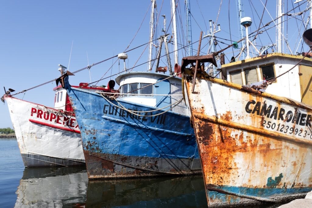 Embarcaciones camaroneras en Topolobampo