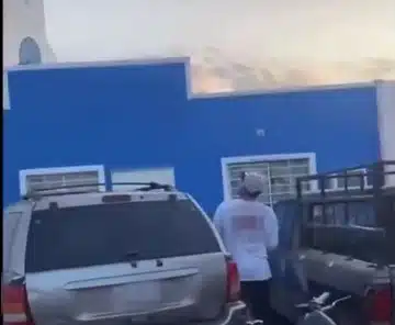 Comparten momento en que un hombre arroja a gatito a un segundo piso en Mazatlán