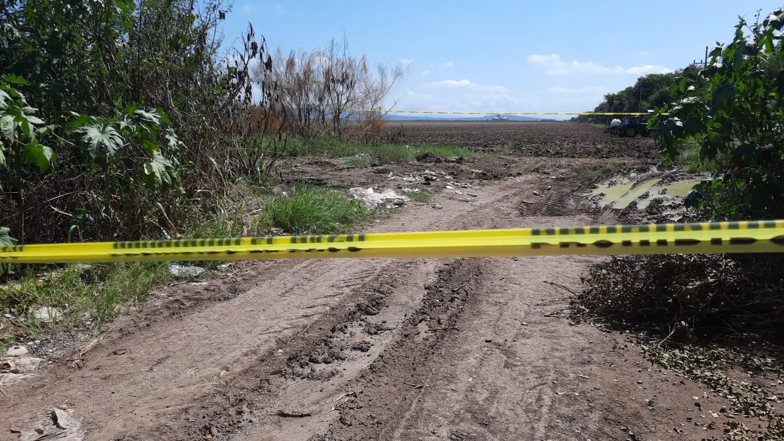 Cinta policíaca sobre un campo de cultivo