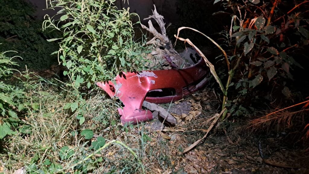 Carrocería del vehículo siniestrado entre las ramas de un árbol