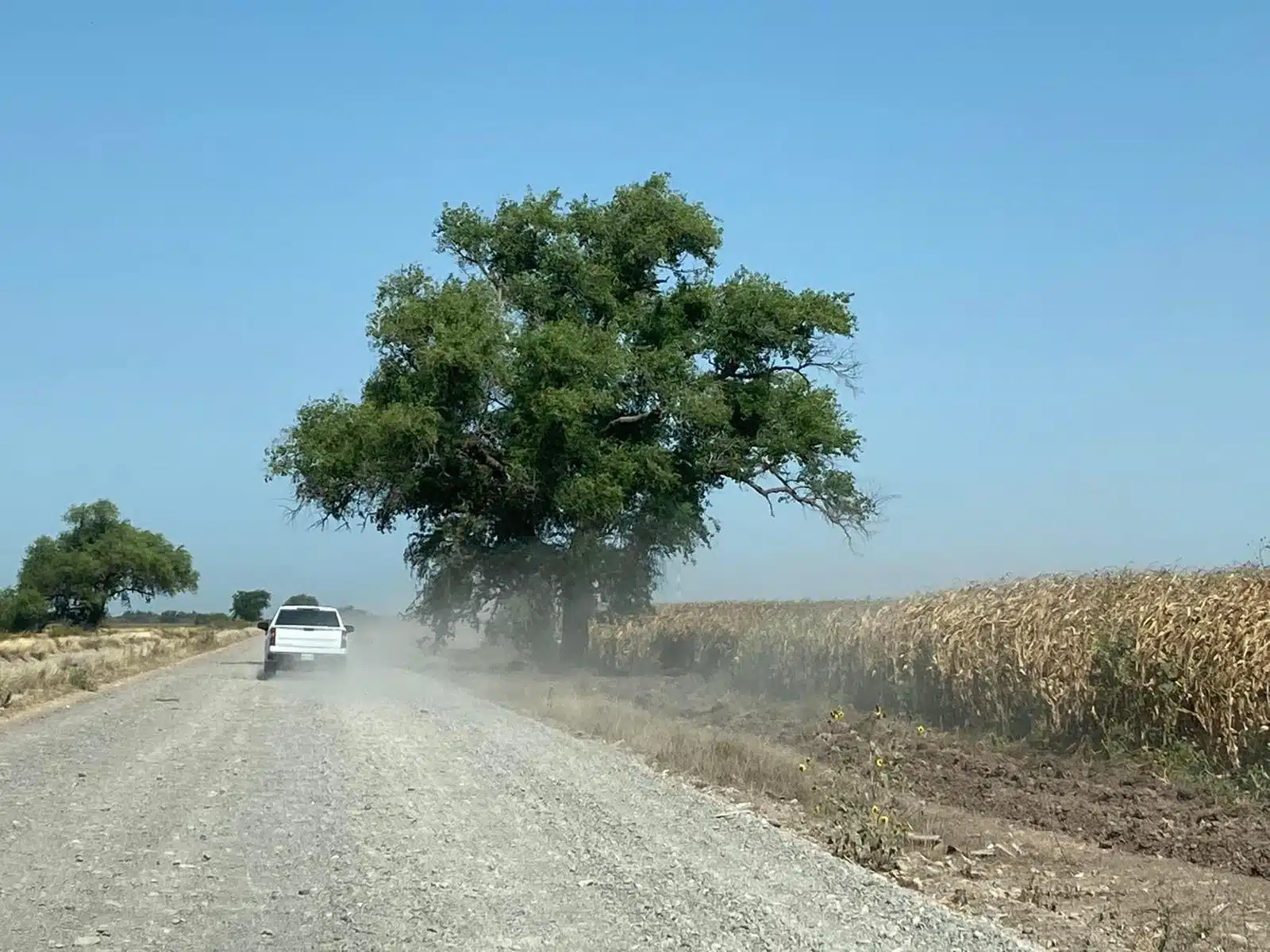 Carretera de Gambino a Chino de los López en Guasave