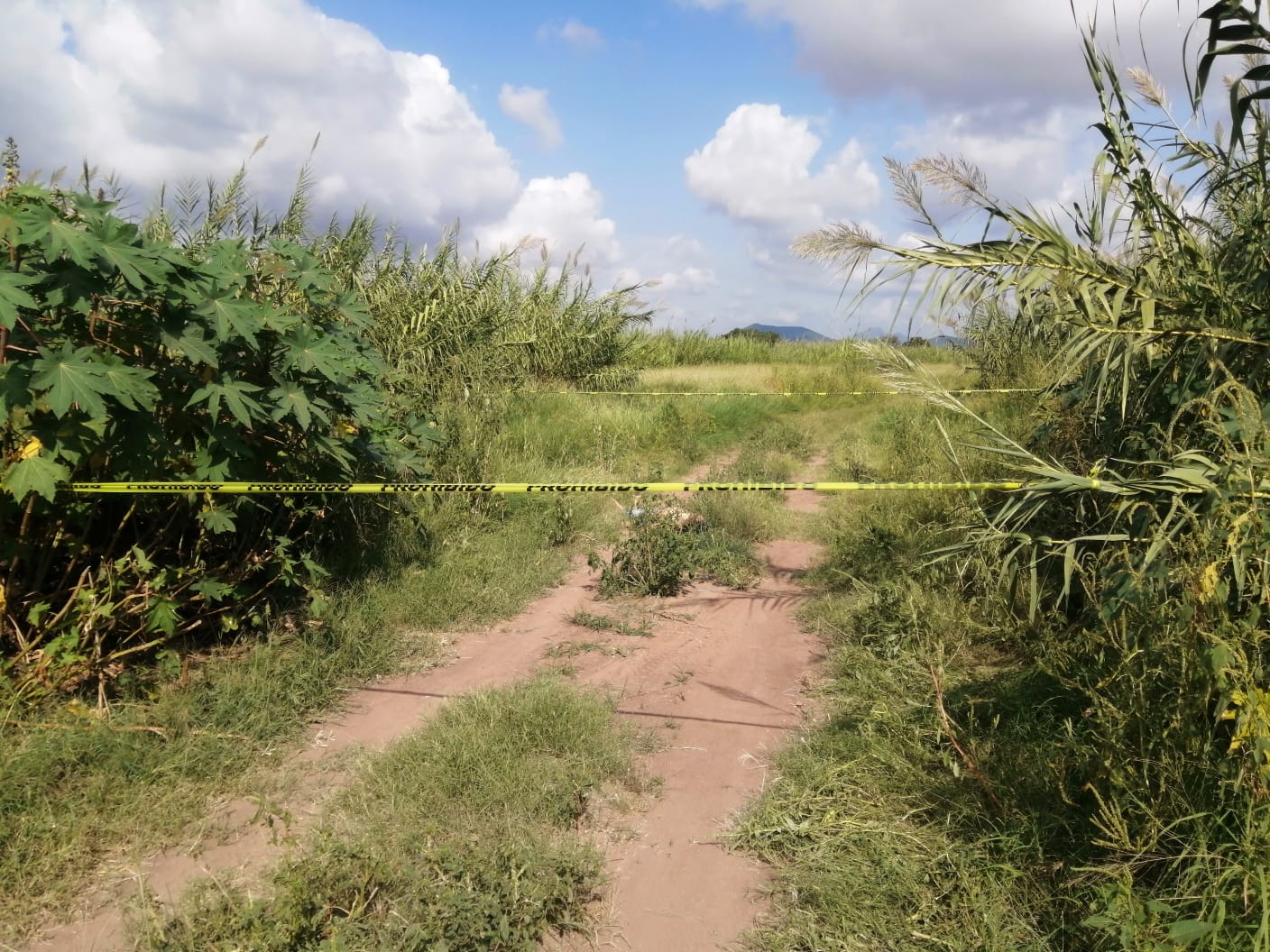 campo con una cinta amarilla delimitando el lugar del hallazgo.