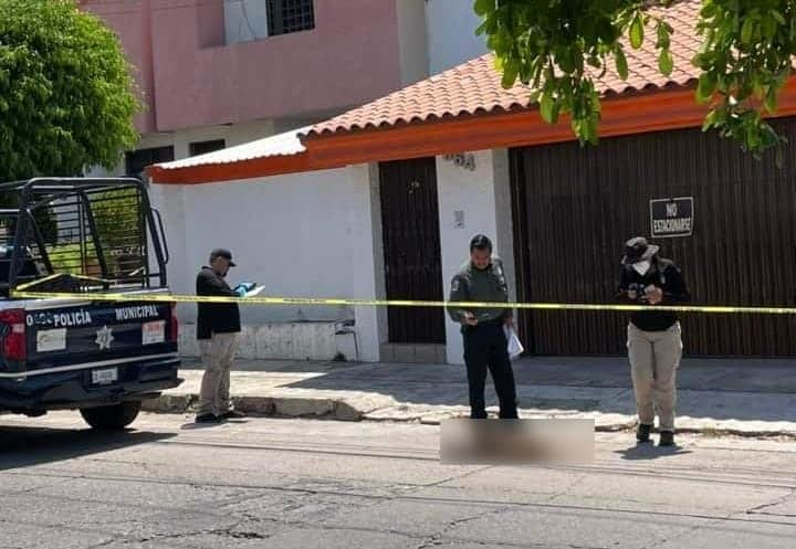Muerte de Pegazus, perrito asesinado en Culiacán