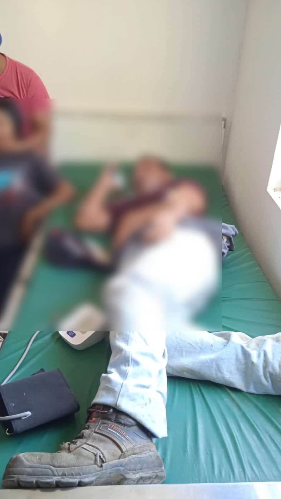 Atacan abejas a trabajadores de un huerto de mangos en Camajoa, El Fuerte; hay tres lesionados