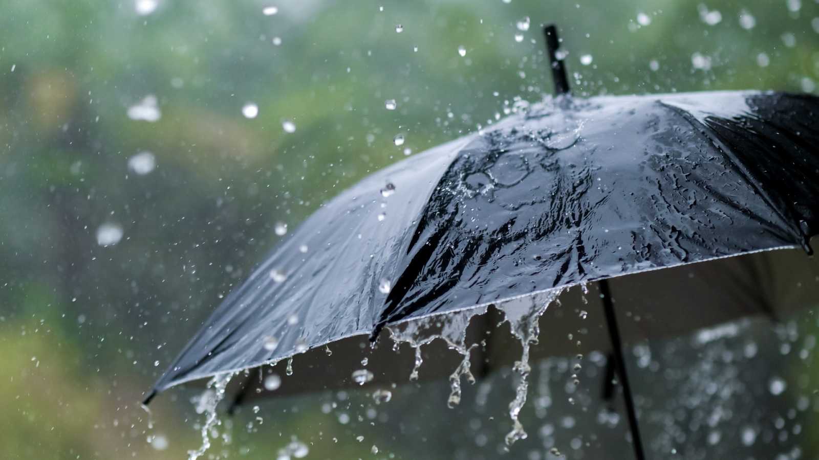 Paraguas mojada por lluvia