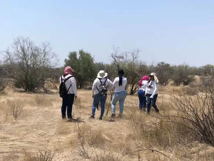 Integrantes de Madres Buscadoras de Sonora realizando búsqueda en terreno