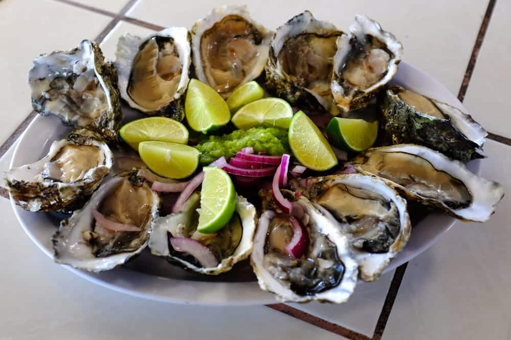 Plato lleno de ostiones en una mesa