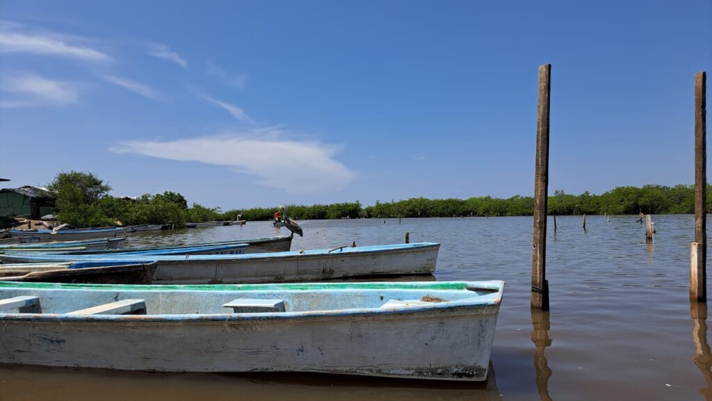 Lanchas en la laguna del Huizache