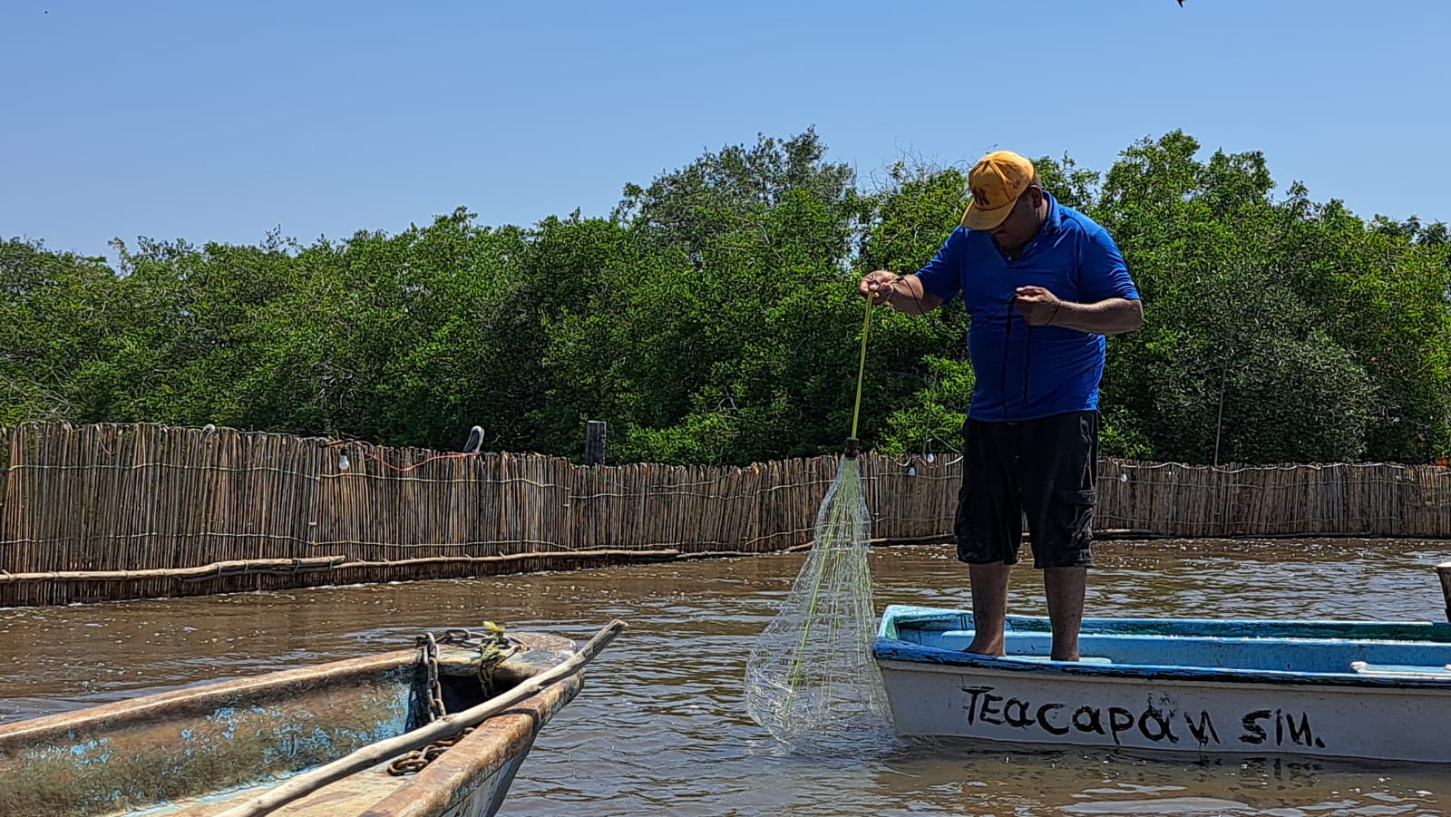 persona realizando pesca de camarón