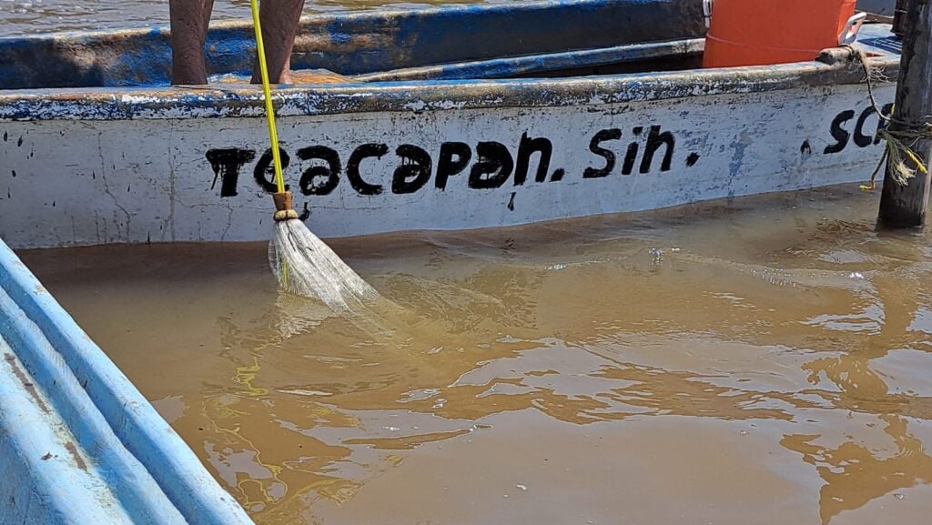 Pesca de camarón