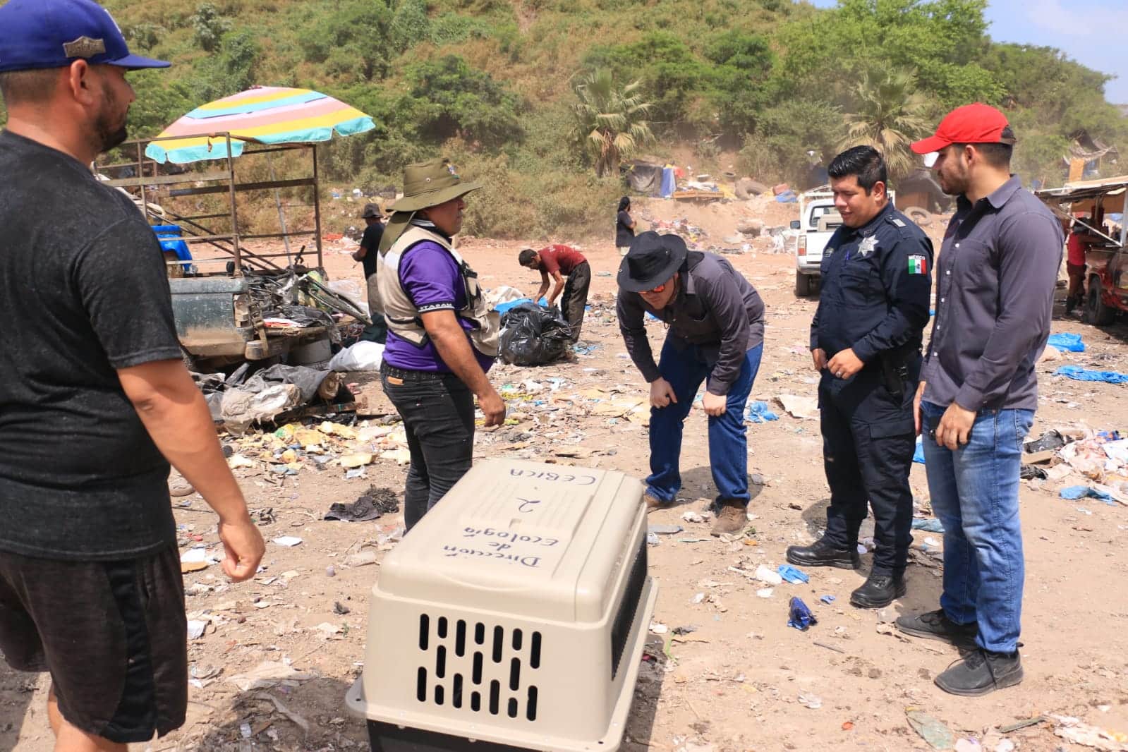 Rescatan a más de 200 mascotas en el basurón municipal de Mazatlán.