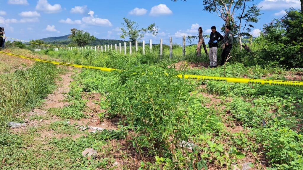 identifican a hombres asesinados en sanalona