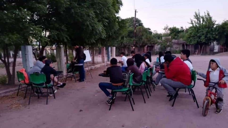 Alumnos estudiando al aire libre