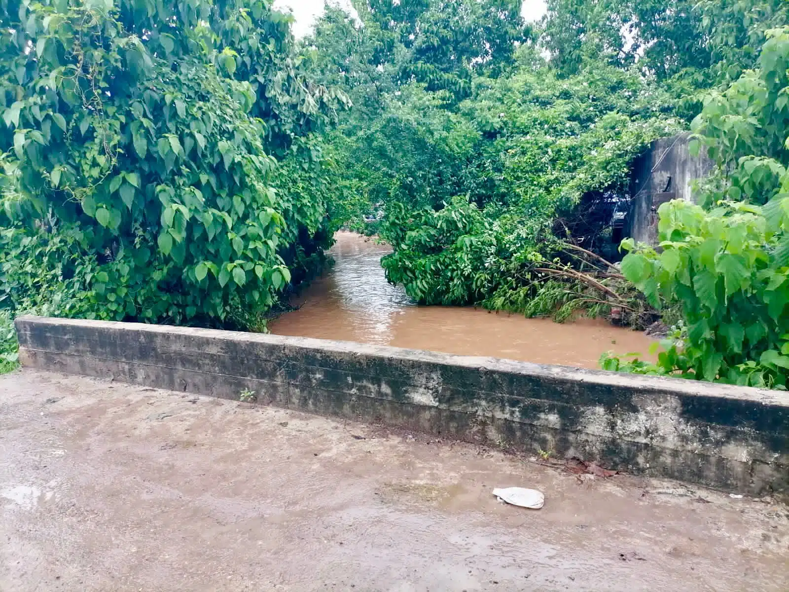 afectaciones por fuertes lluvias en villa unión.