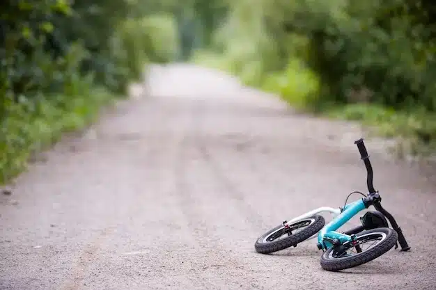 ¡Desgarrador! Salió a pasear en bici, lo alertaron de un camión, pero no lo vio y murió atropellado