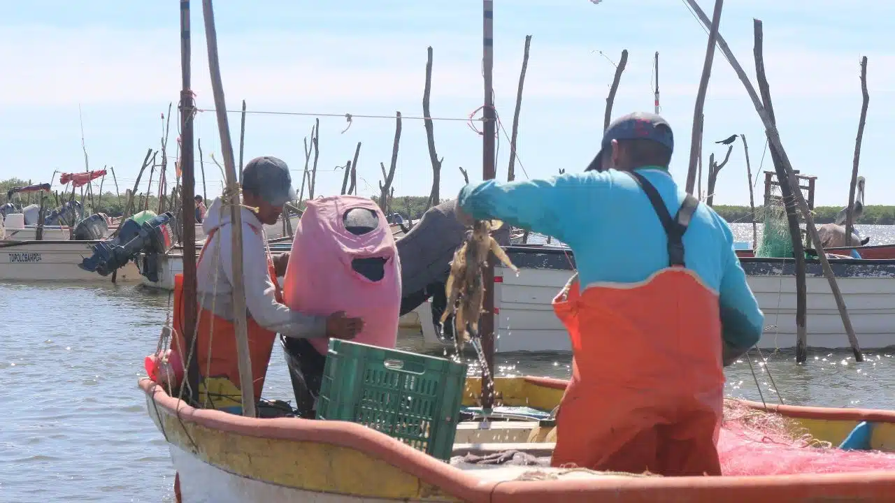 Pescadores capturando camarón