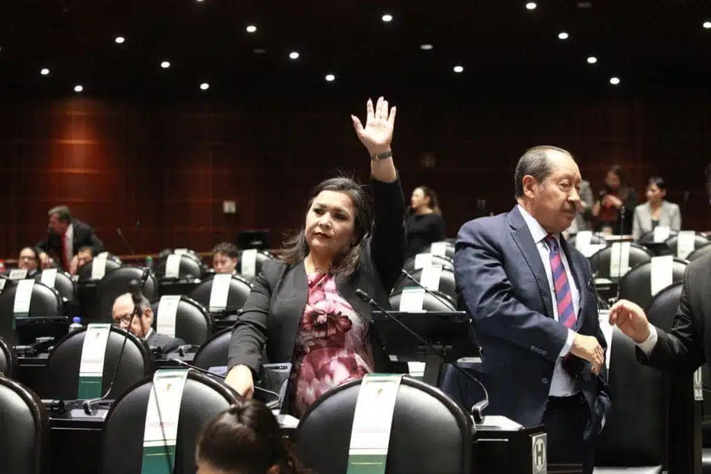 Ana Elizabeth Ayala Leyva, diputada federal