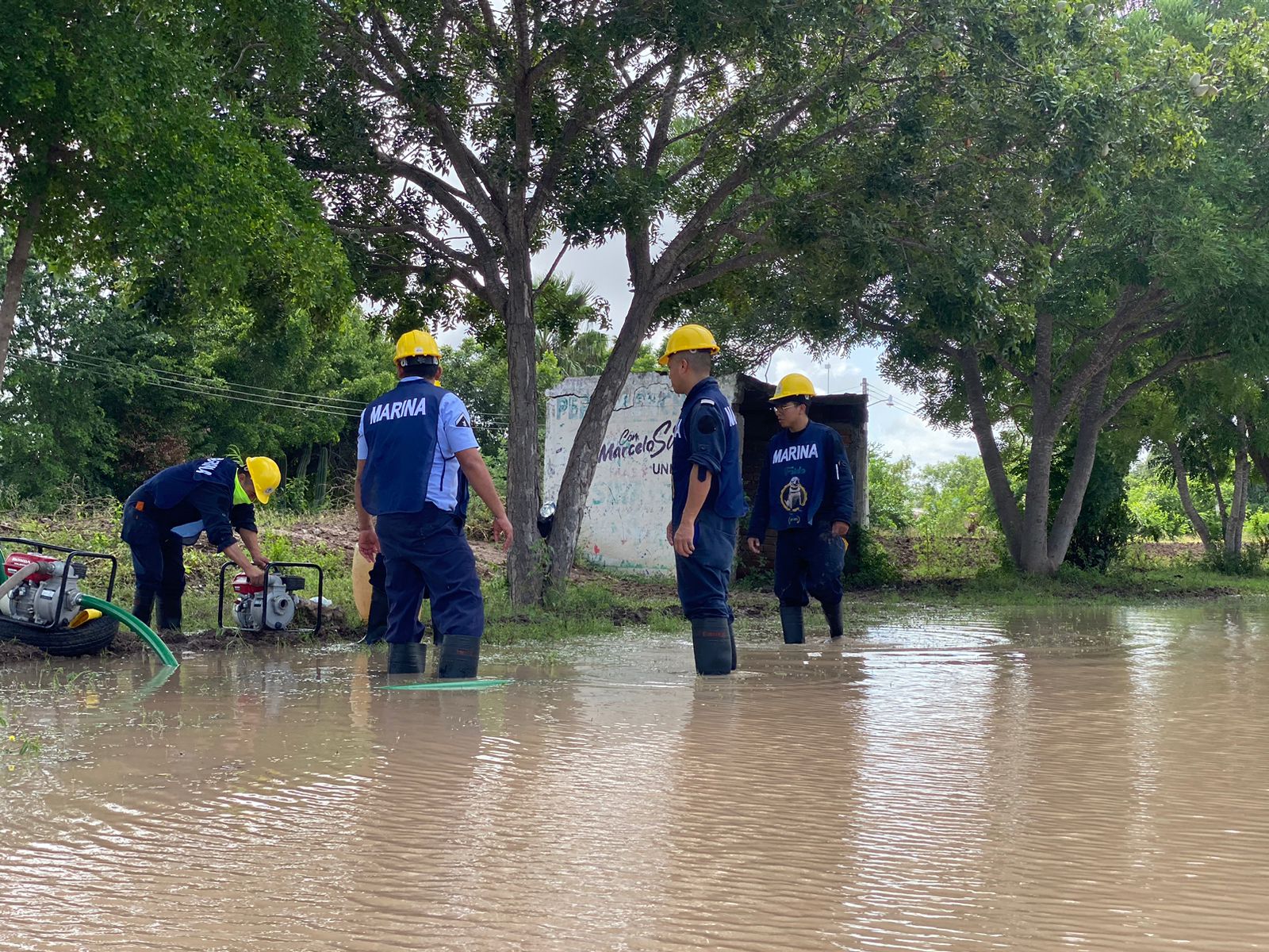 Afectaciones por Norma en Guasave