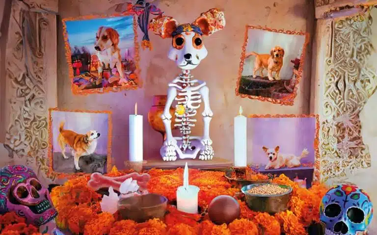 Altar de mascota por el Día de Muertos