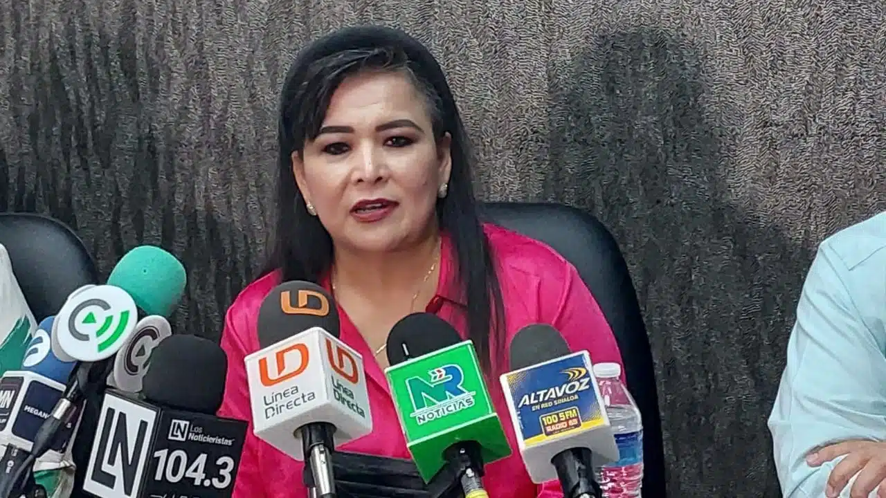 Ana Ayala Leyva, diputada federal por Movimiento Regeneración Nacional.