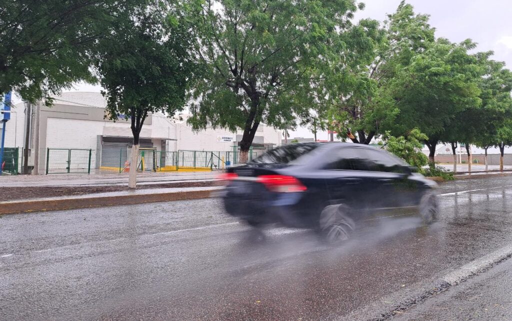 Vientos de Norma derriban árboles en la carretera Culiacán-Navolato