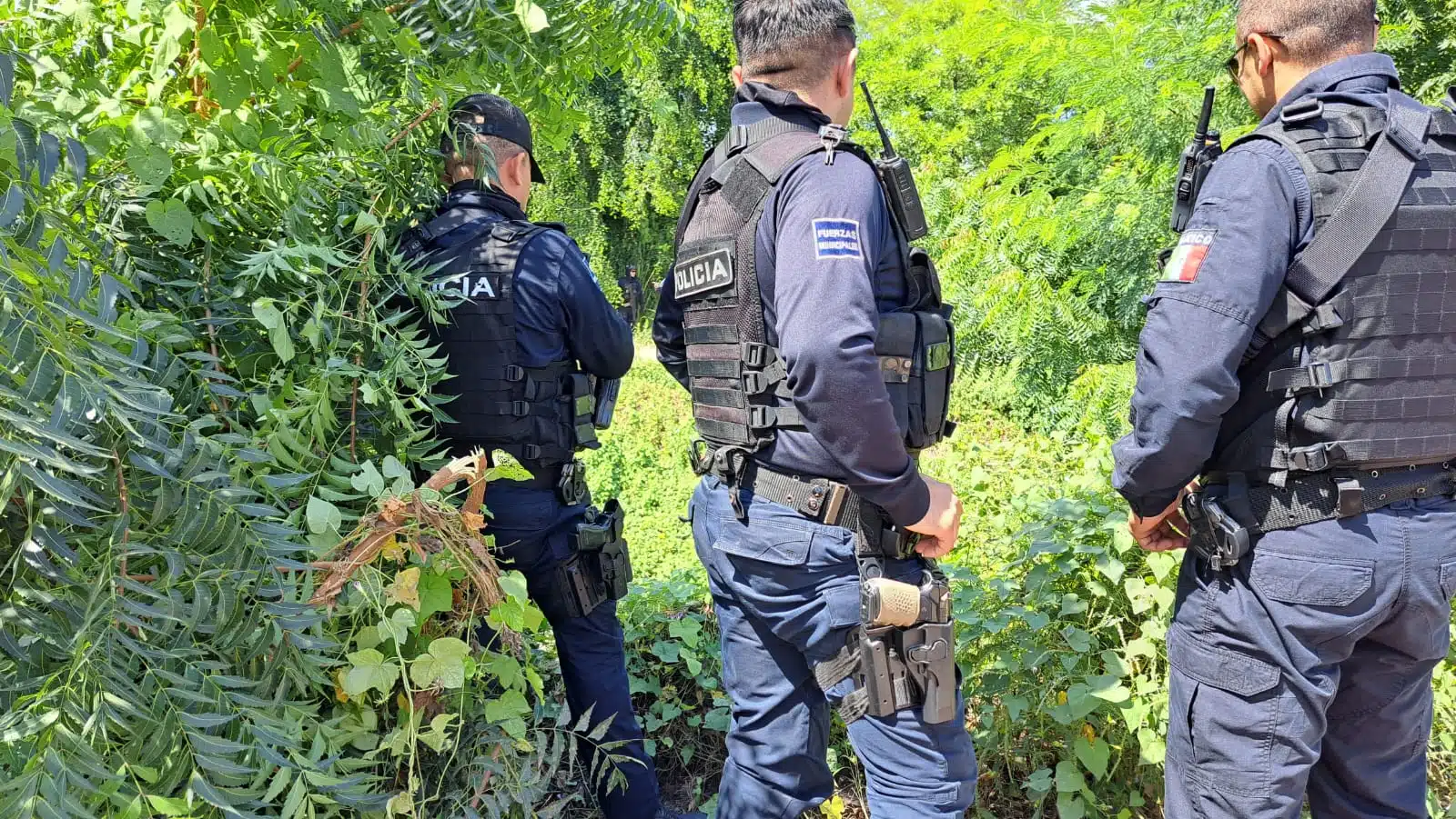 Identificaron al asesinado en un canal del sector Punta Azul, en Culiacán.