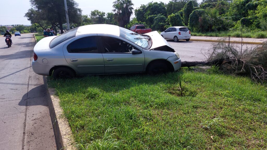 Auto Dodge Neon gris choca con un árbol en Mazatlán