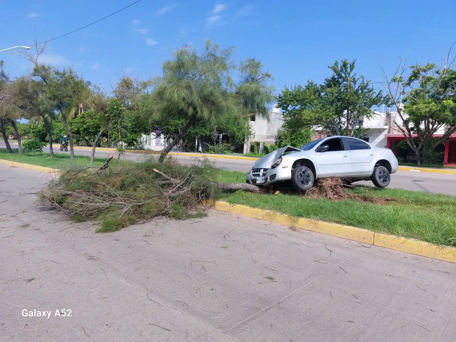 Auto Dodge Neon gris tras choque con un árbol