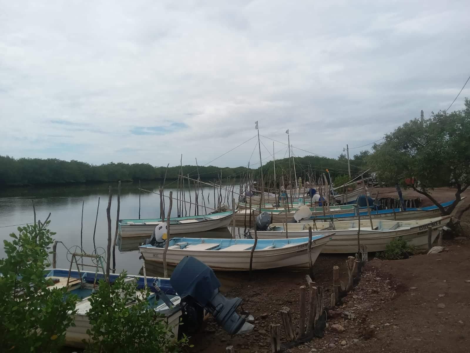Campo pesquero en Angostura