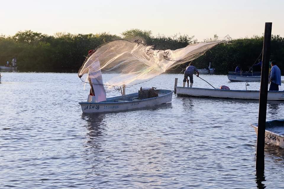 Pescadores realizando captura de camarón.