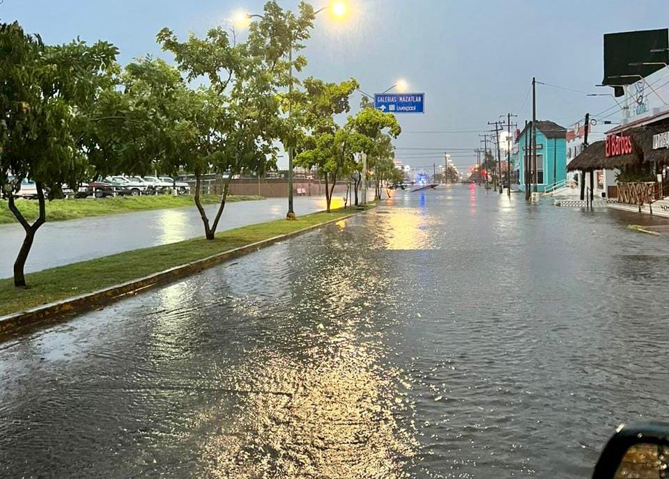 Avenida inundada con agua y árboles