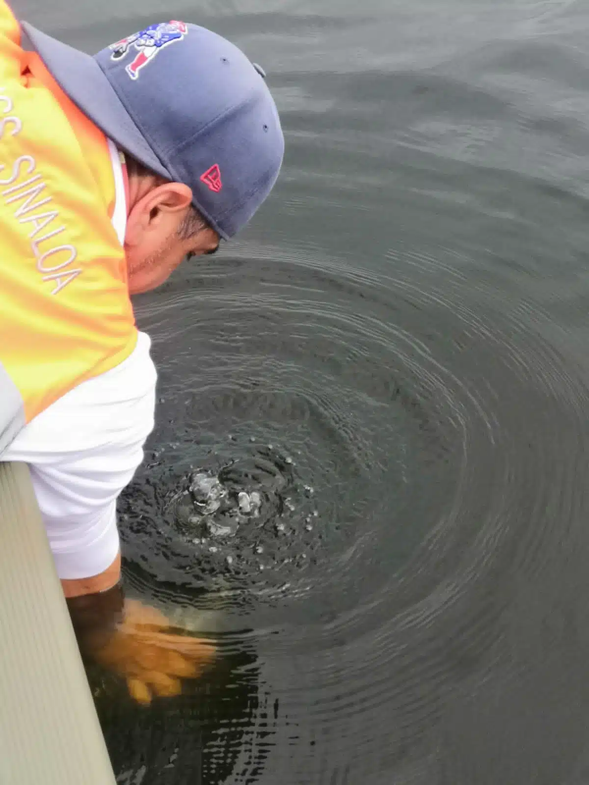 Coepriss recogiendo muestra de agua mortandad de peces en la presa Aurelio Benasini