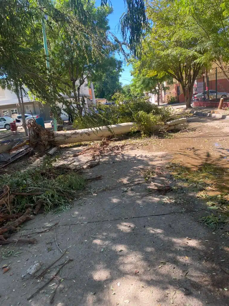 Daños en escuela primaria Cristóbal Colón en Los Mochis