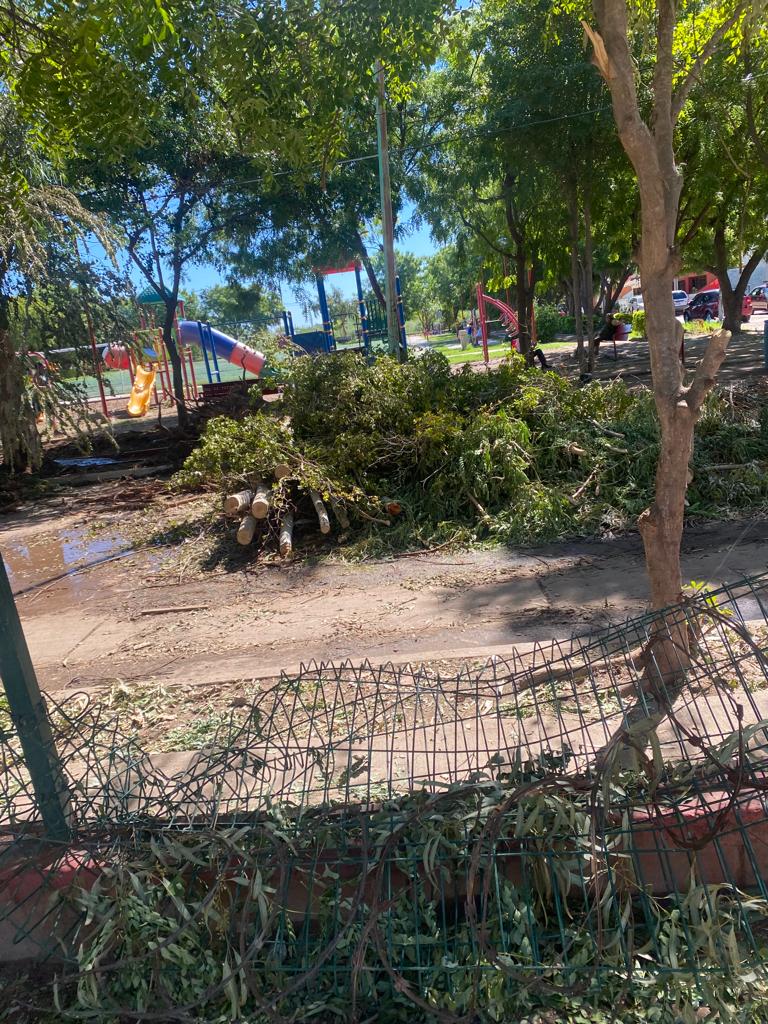 Daños en escuela primaria Cristóbal Colón en Los Mochis
