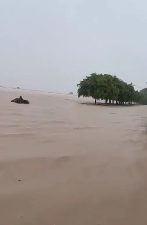 Dren desbordado en El Campesino, Guasave