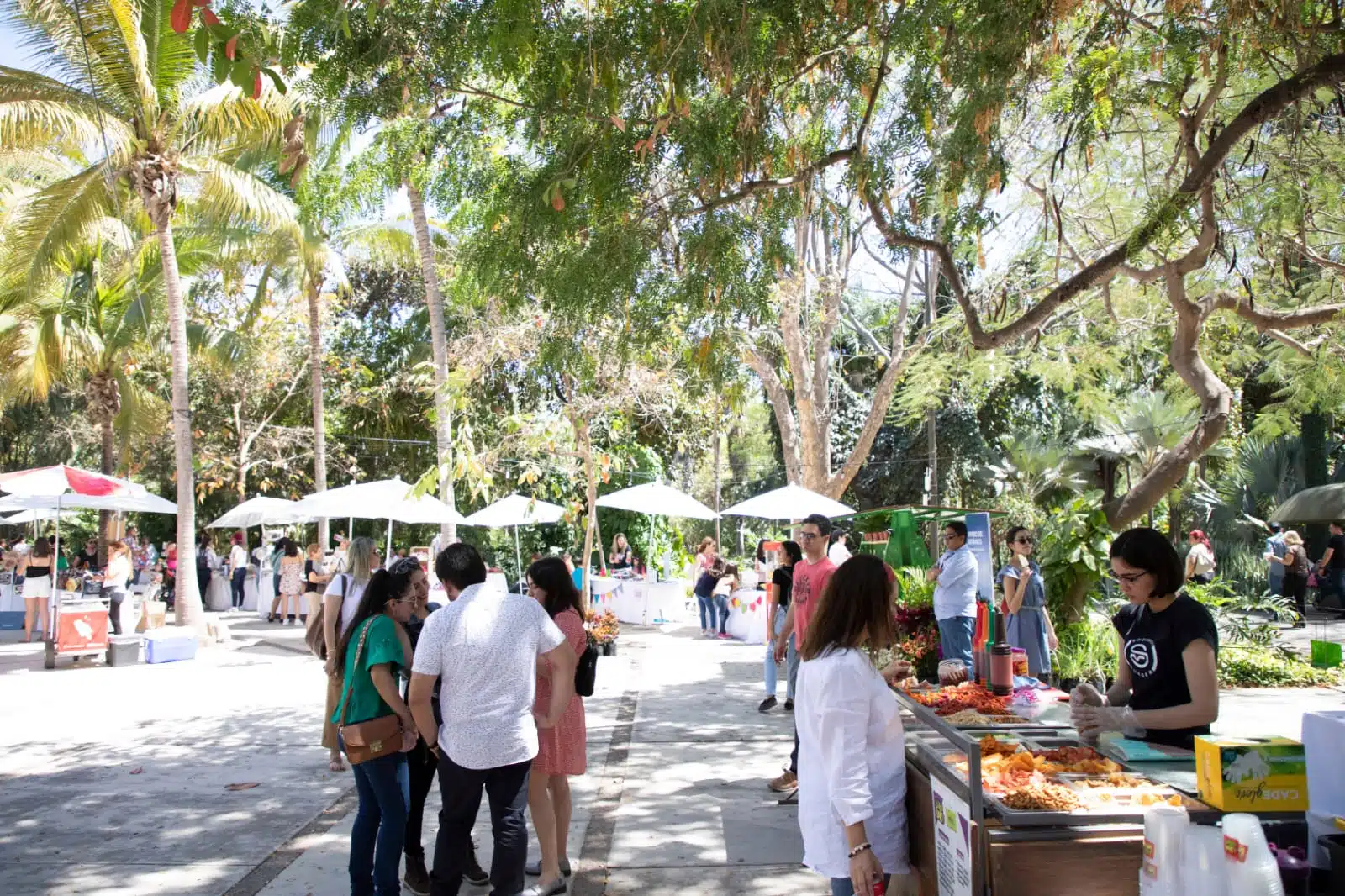 Evento en el Jardín Botánico Culiacán